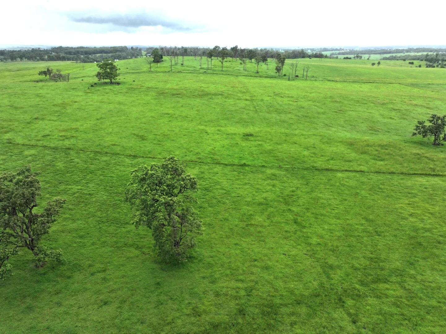 Additional image 19 of 284 Upper Stratheden Road, Kyogle NSW 2474