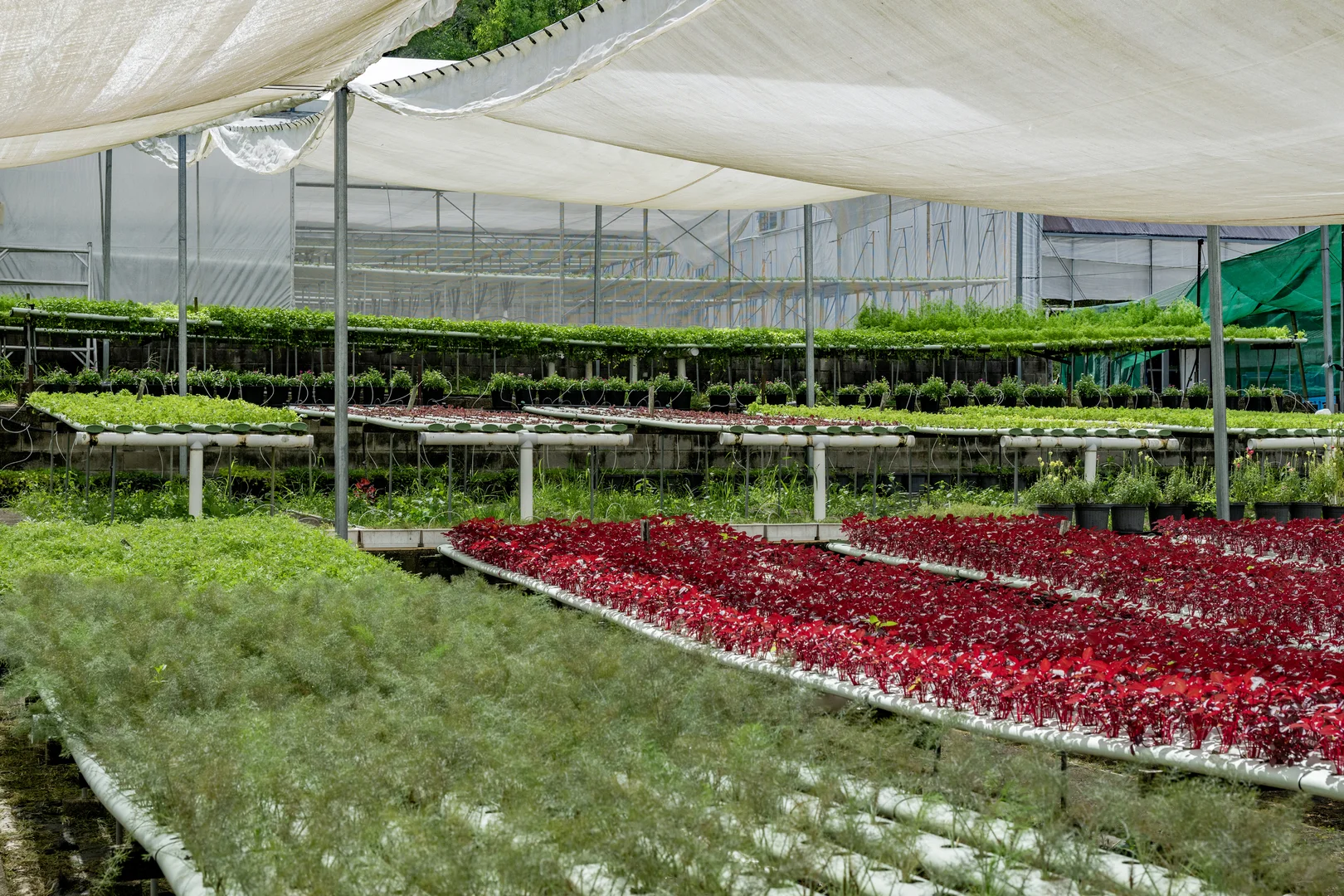 Additional image 42 of 44 Glen Nathan Court, Mount Nathan QLD 4211