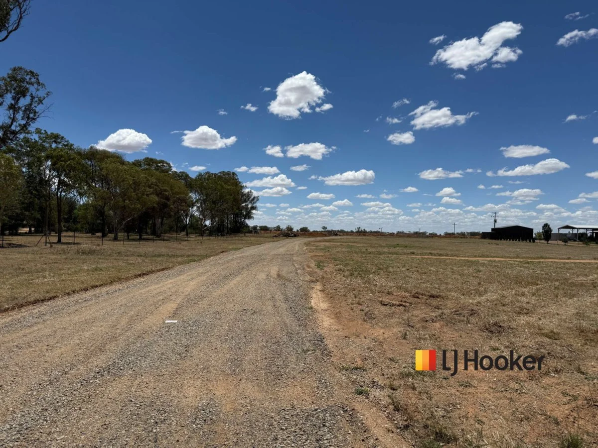 88 McNamaras Lane, Narromine NSW 2821