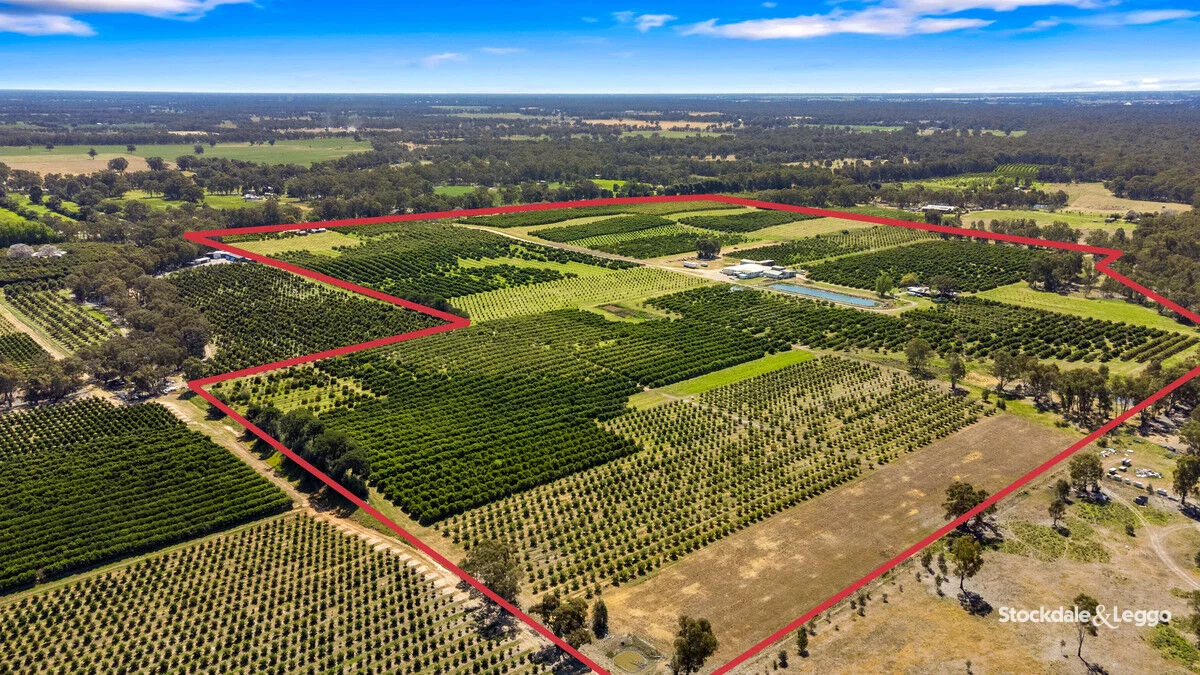 Additional image 35 of 154-198 Torgannah Road, Koonoomoo VIC 3644