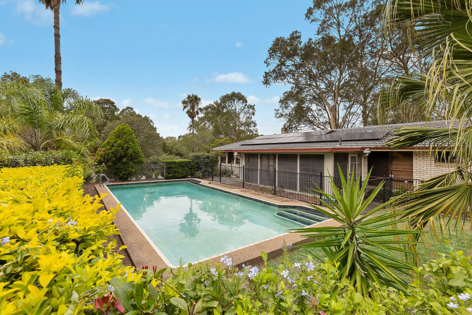 Additional image 3 of 65 Maitland Vale Road, Bolwarra Heights NSW 2320