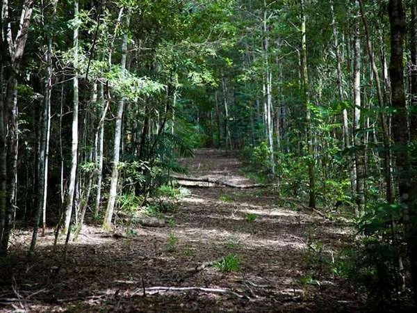 Additional image 10 of 1-11 Discovery Drive, Kuranda QLD 4881