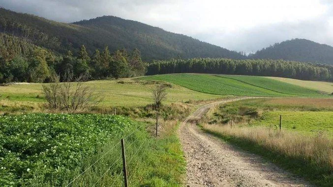 Additional image 15 of . Powers Road, Pyengana TAS 7216