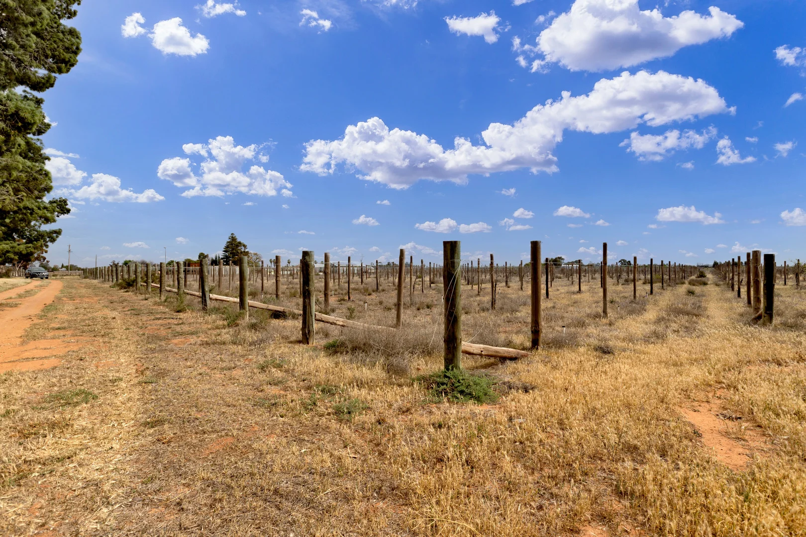 Additional image 7 of 37 Fraser Drive, Merbein VIC 3505