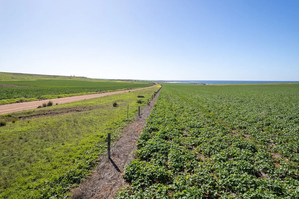 Additional image 8 of Lot 304 & North Coast Road, Port Neill SA 5604