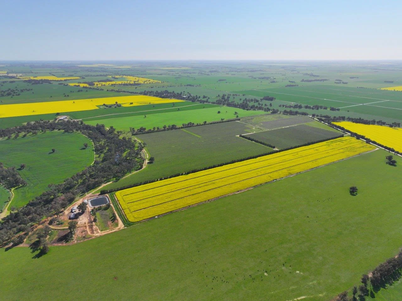 Additional image 13 of 747 Old Bridgewater-Serpentine Road, Serpentine VIC 3517