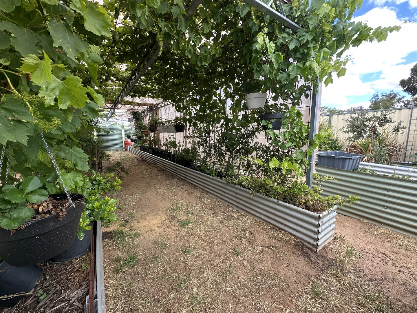 Additional image 27 of 22 Rifle North Street, Wagin WA 6315