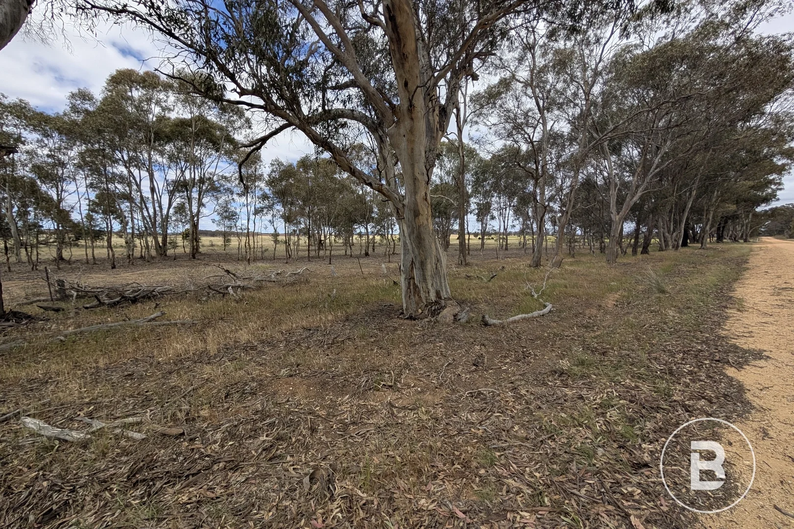 Additional image 16 of 5a Logan-Bealiba Road, Cochranes Creek VIC 3475