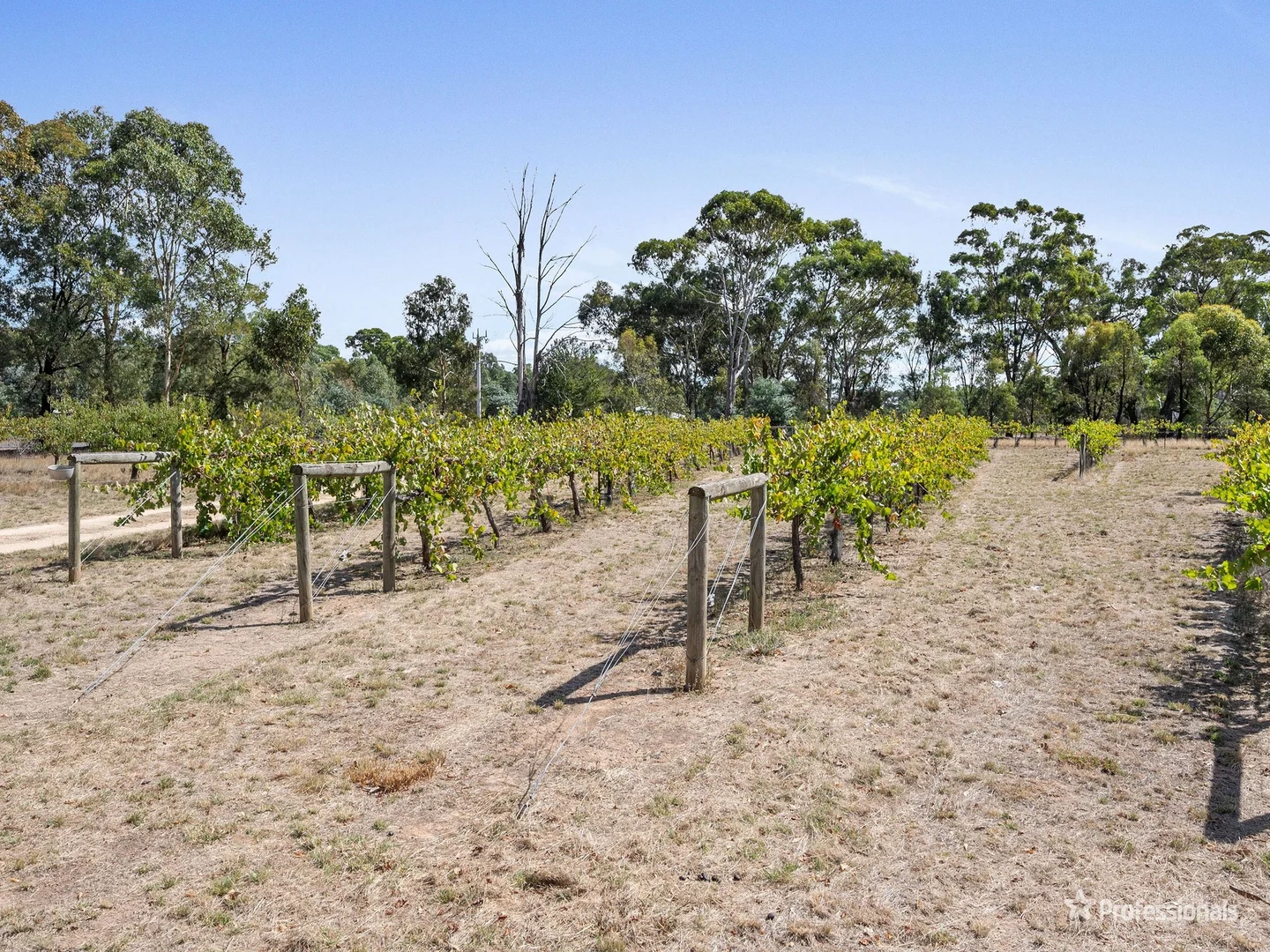 Additional image 8 of 100 Dunolly - Moliagul Road, Dunolly VIC 3472