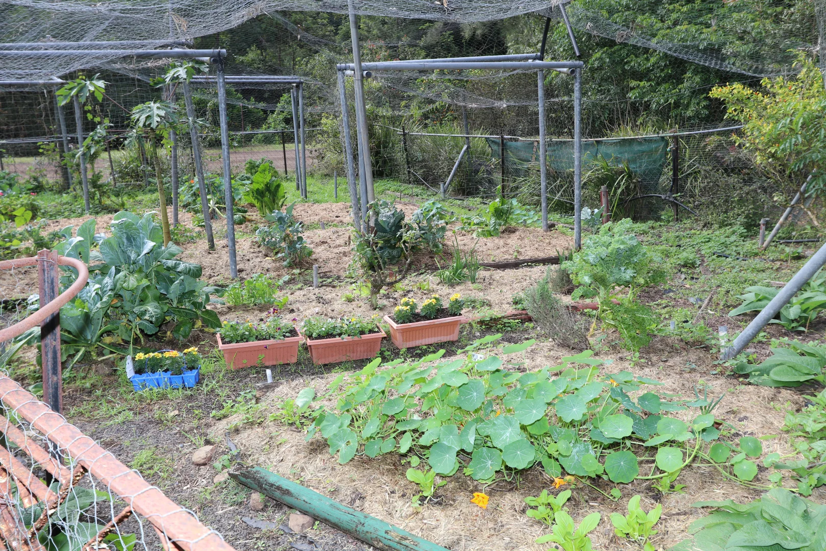 Additional image 21 of Level share 25, 10/321 Blackhorse Road, Eden Creek NSW 2474