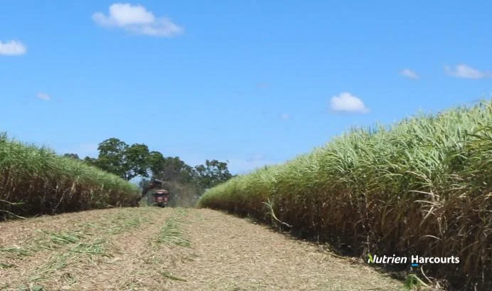 Additional image 17 of 3392 Childers Road, Gregory River QLD 4660