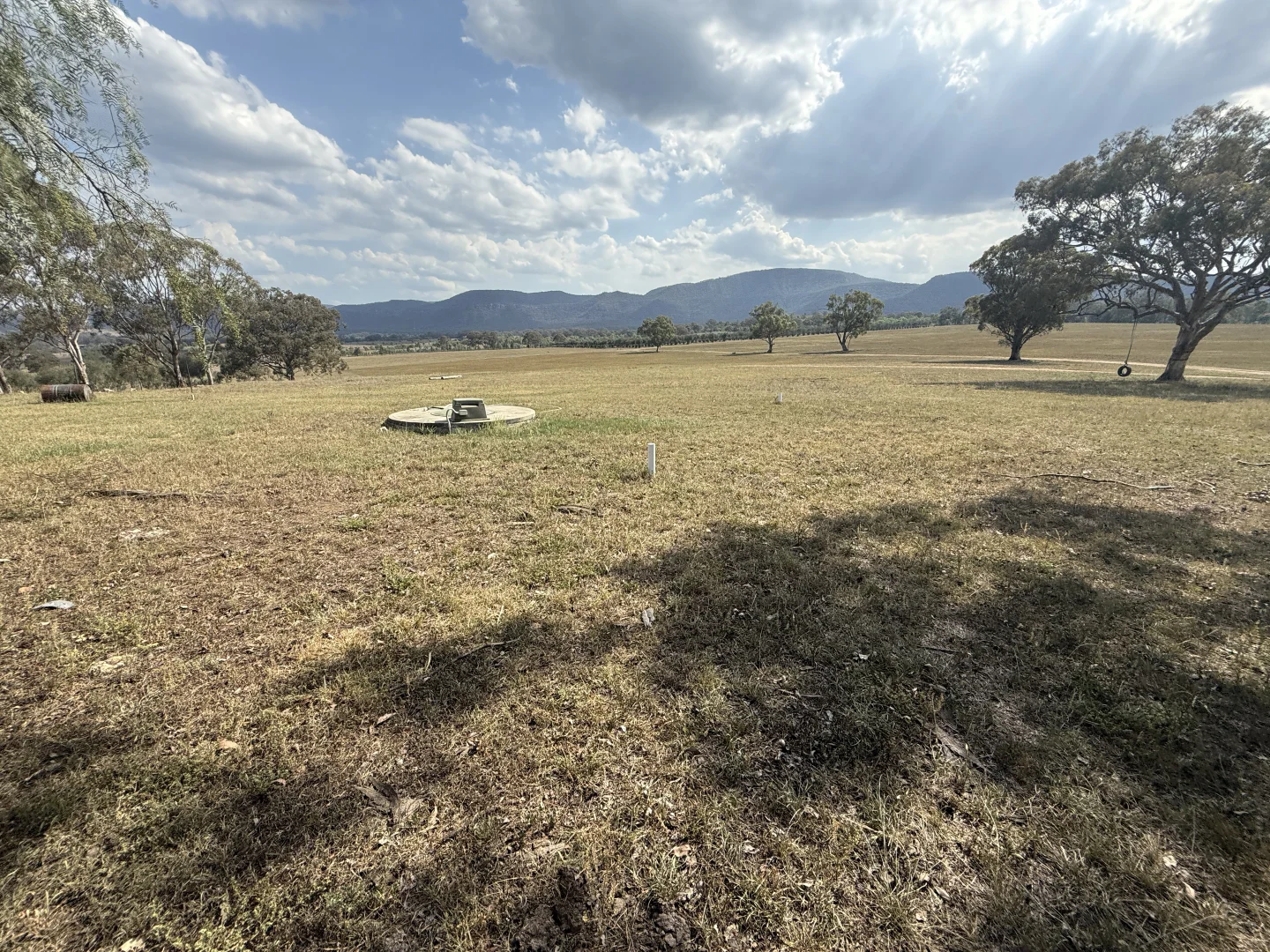 Additional image 56 of 207 Redmanvale Road, Jerrys Plains NSW 2330