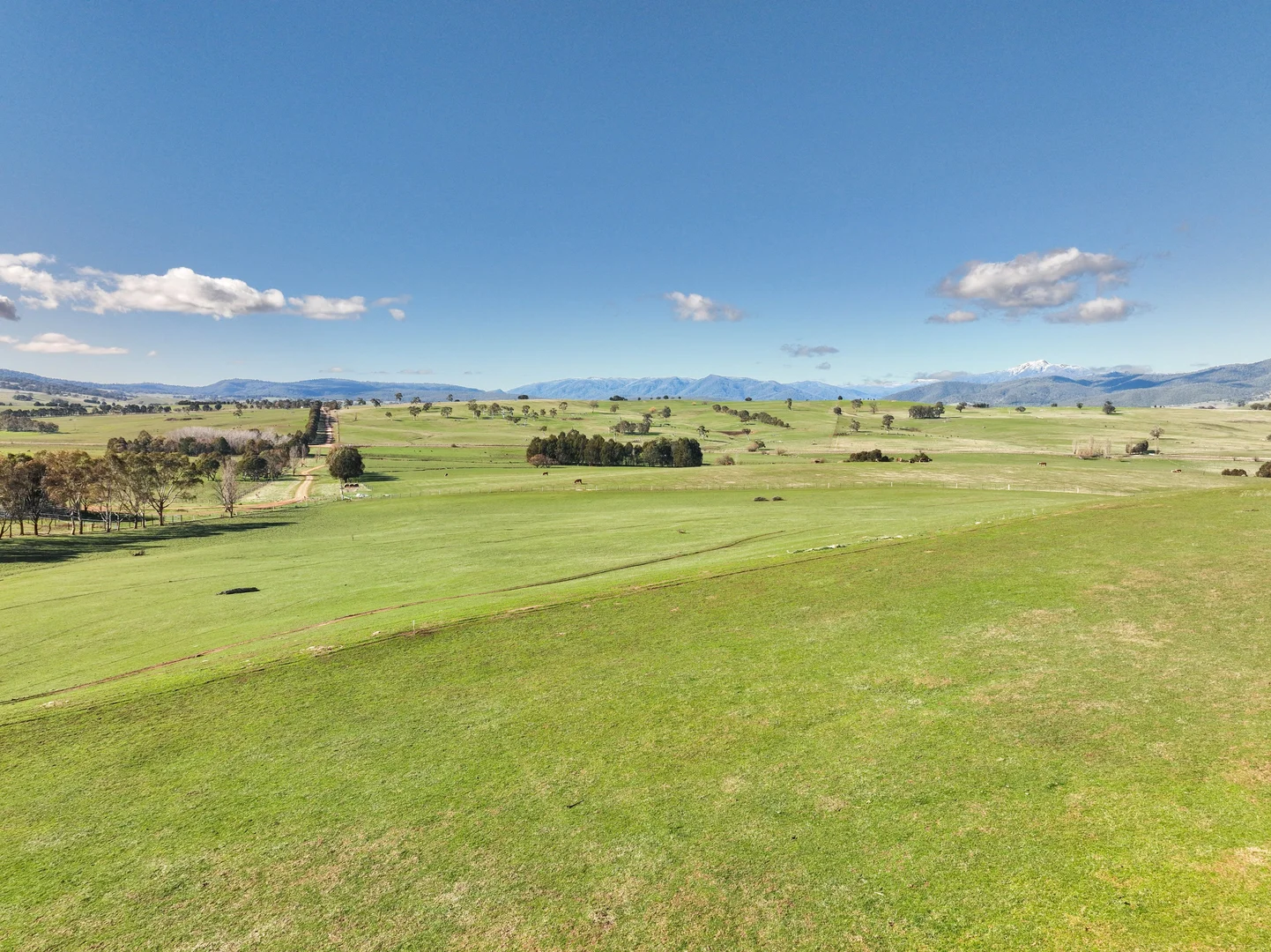 Additional image 16 of Lot 1, 214 Hearns Road, Boorolite VIC 3723