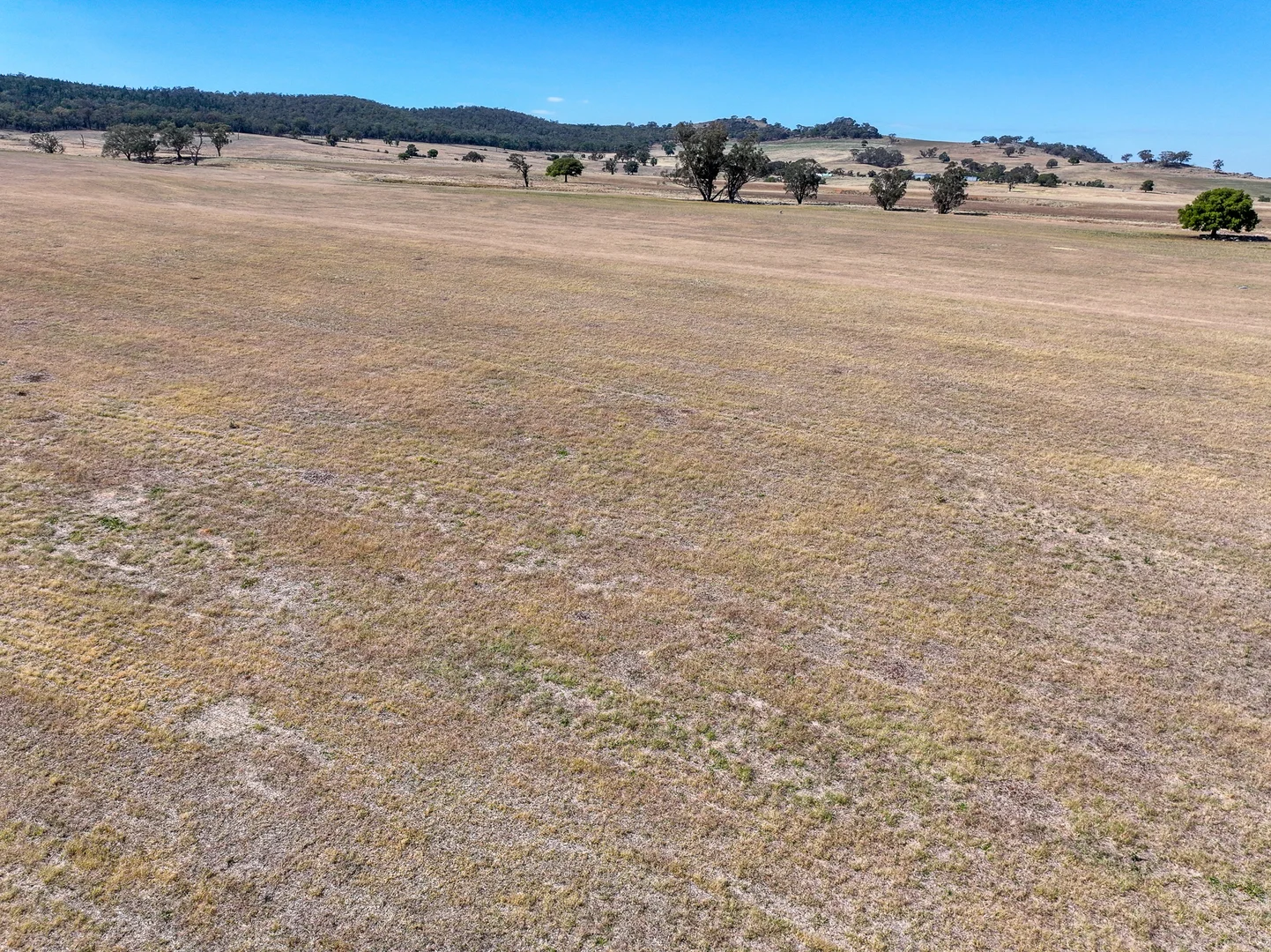 Additional image 9 of 'Yeronga' Piersons Road, Mangoplah NSW 2652