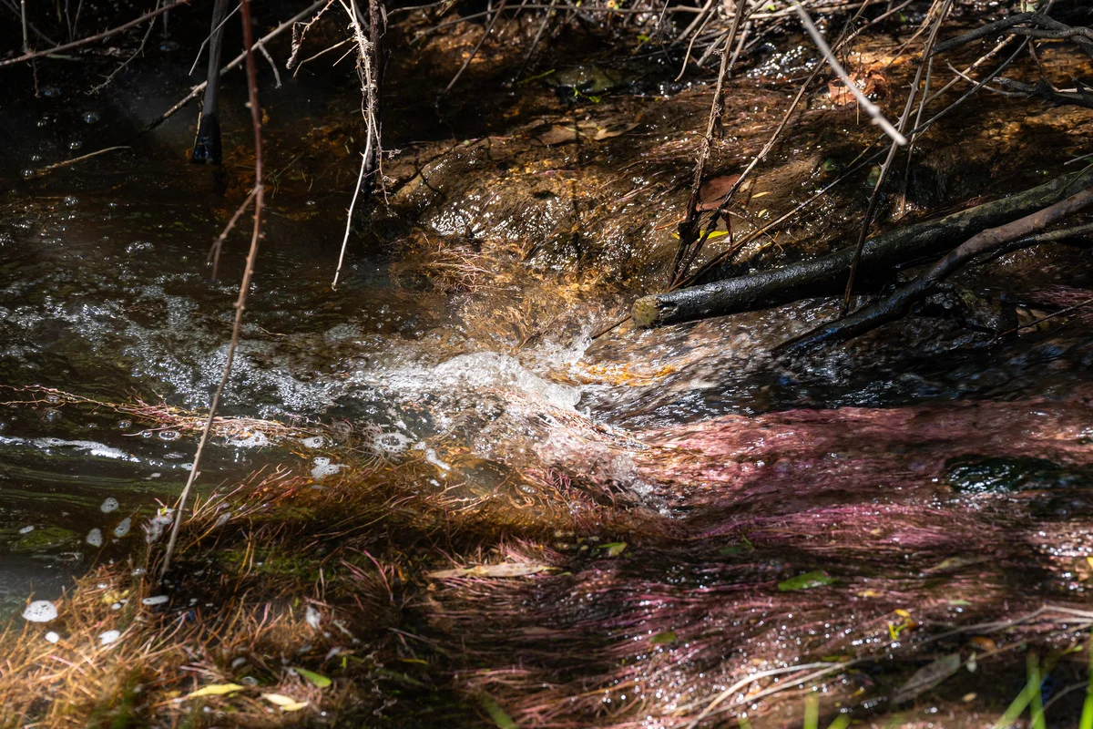 Additional image 24 of 672 Lima East Road, Lima East VIC 3673