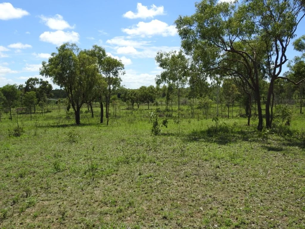 Additional image 26 of Flinders Highway, Breddan QLD 4820