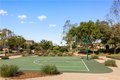 Additional image 68 of 117 Laceflower, Irvine, CA, 92618