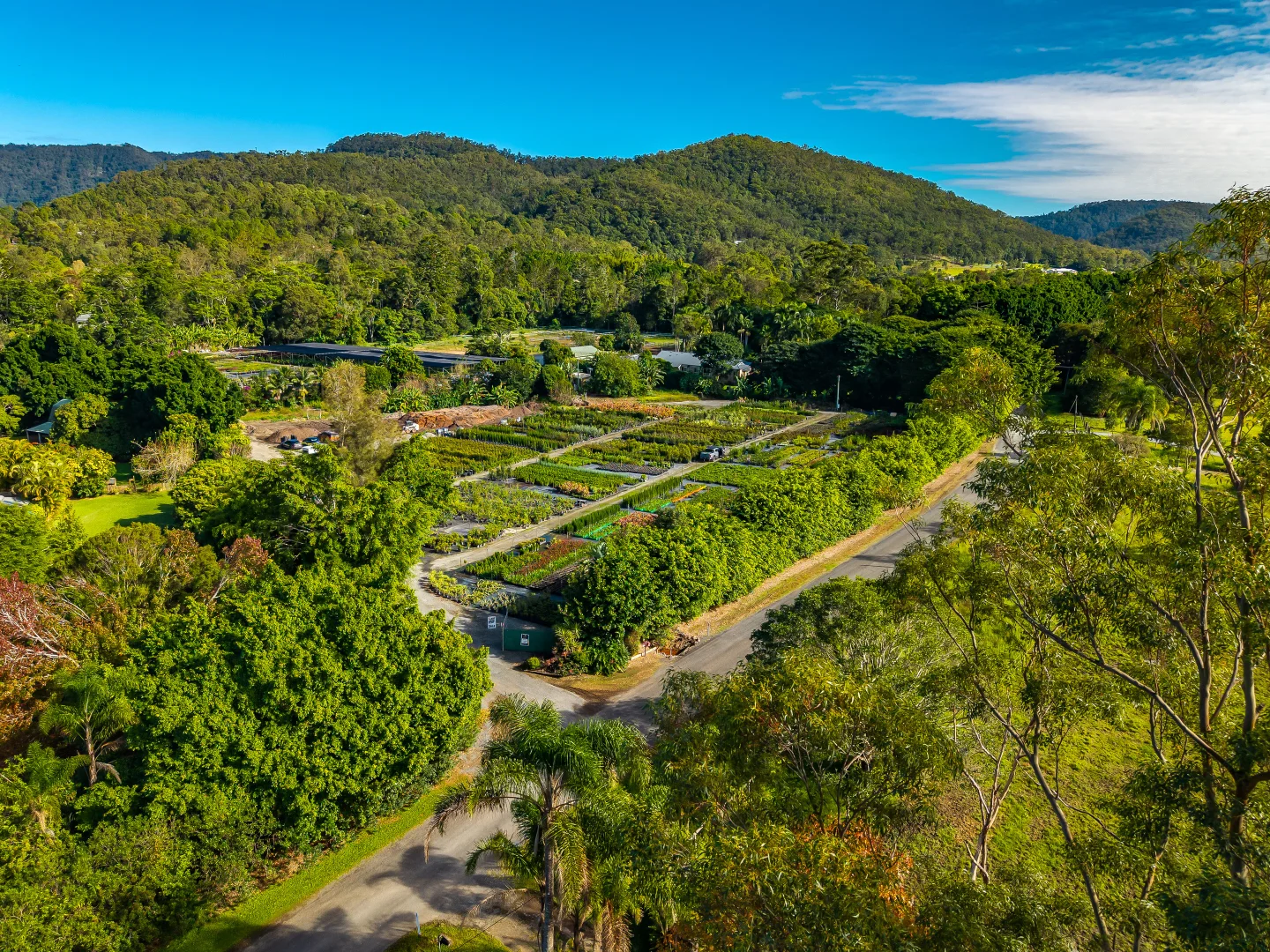 Additional image 8 of 69 Currey Road, Wongawallan QLD 4210