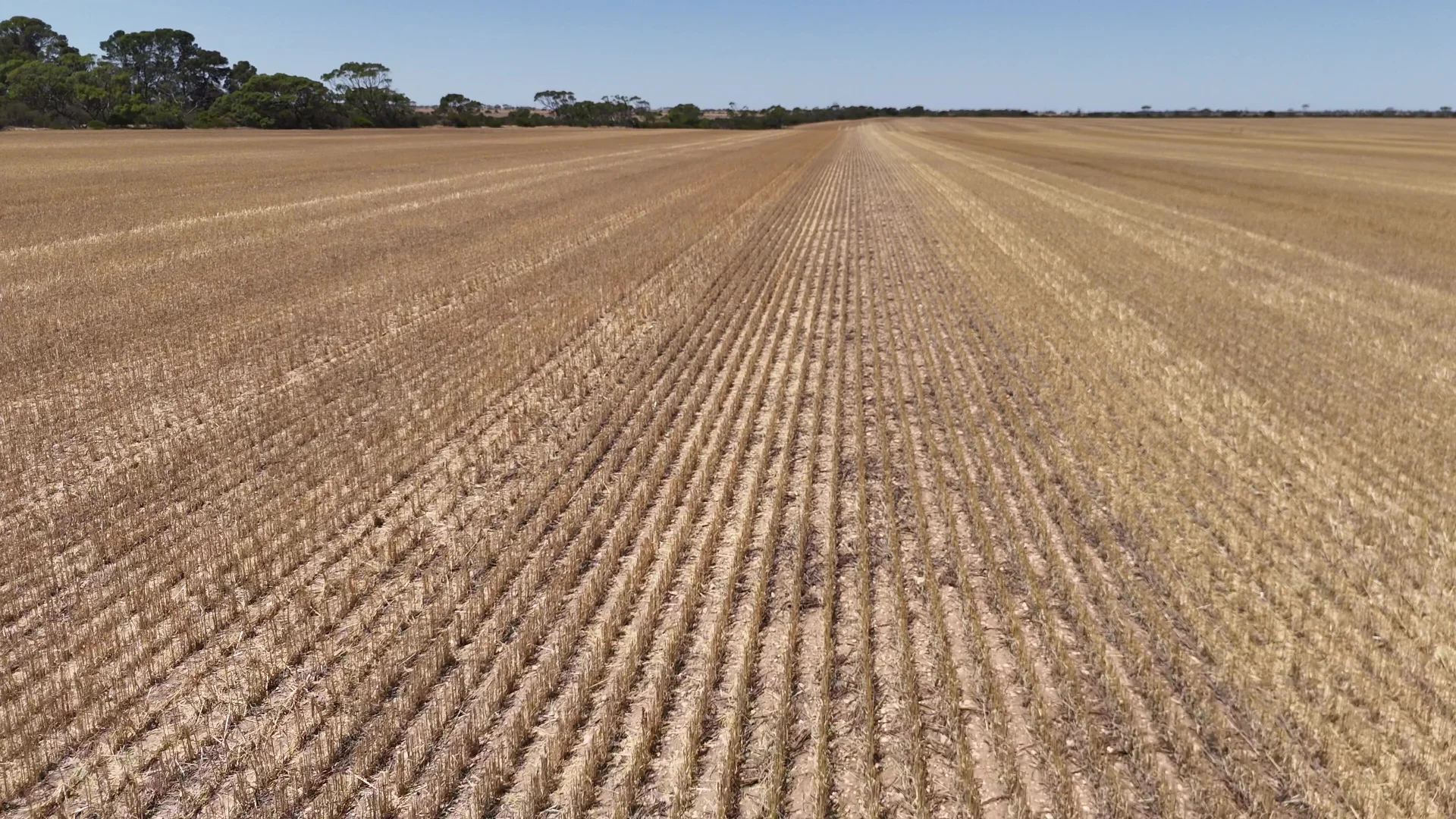 Additional image 9 of Allotment 1 & 2 Mines Road, Boors Plain SA 5554