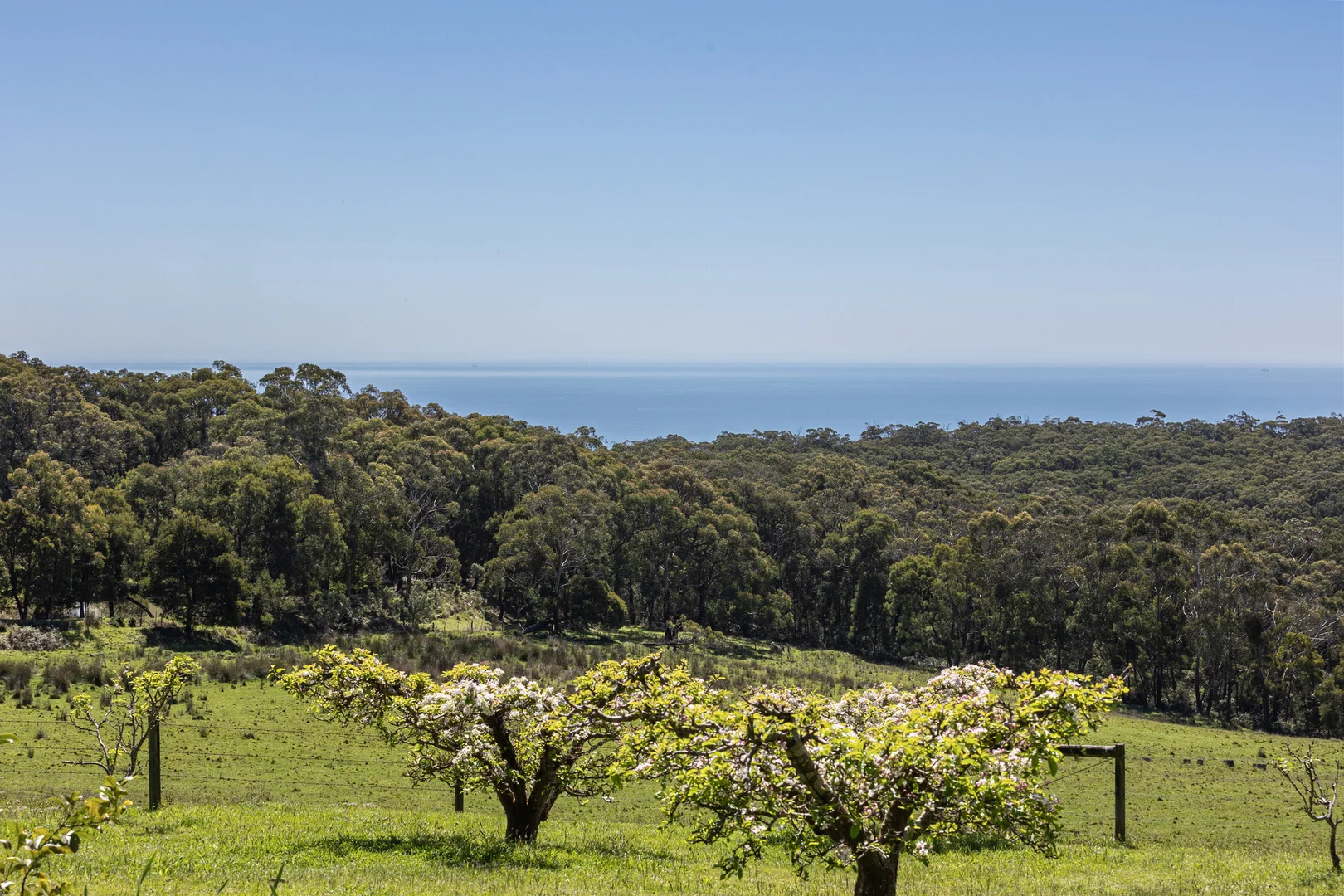 Additional image 2 of 470 Arthurs Seat Road, Red Hill VIC 3937