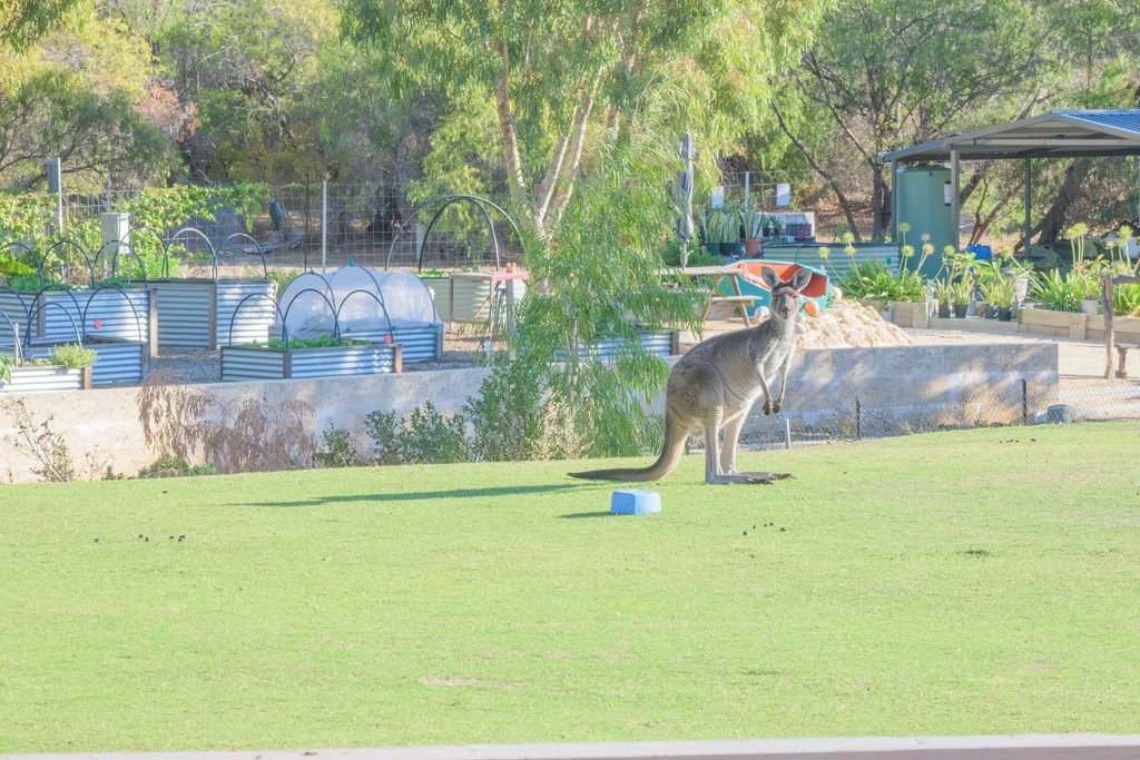 Additional image 6 of 24 Lakeside Terrace, Preston Beach WA 6215