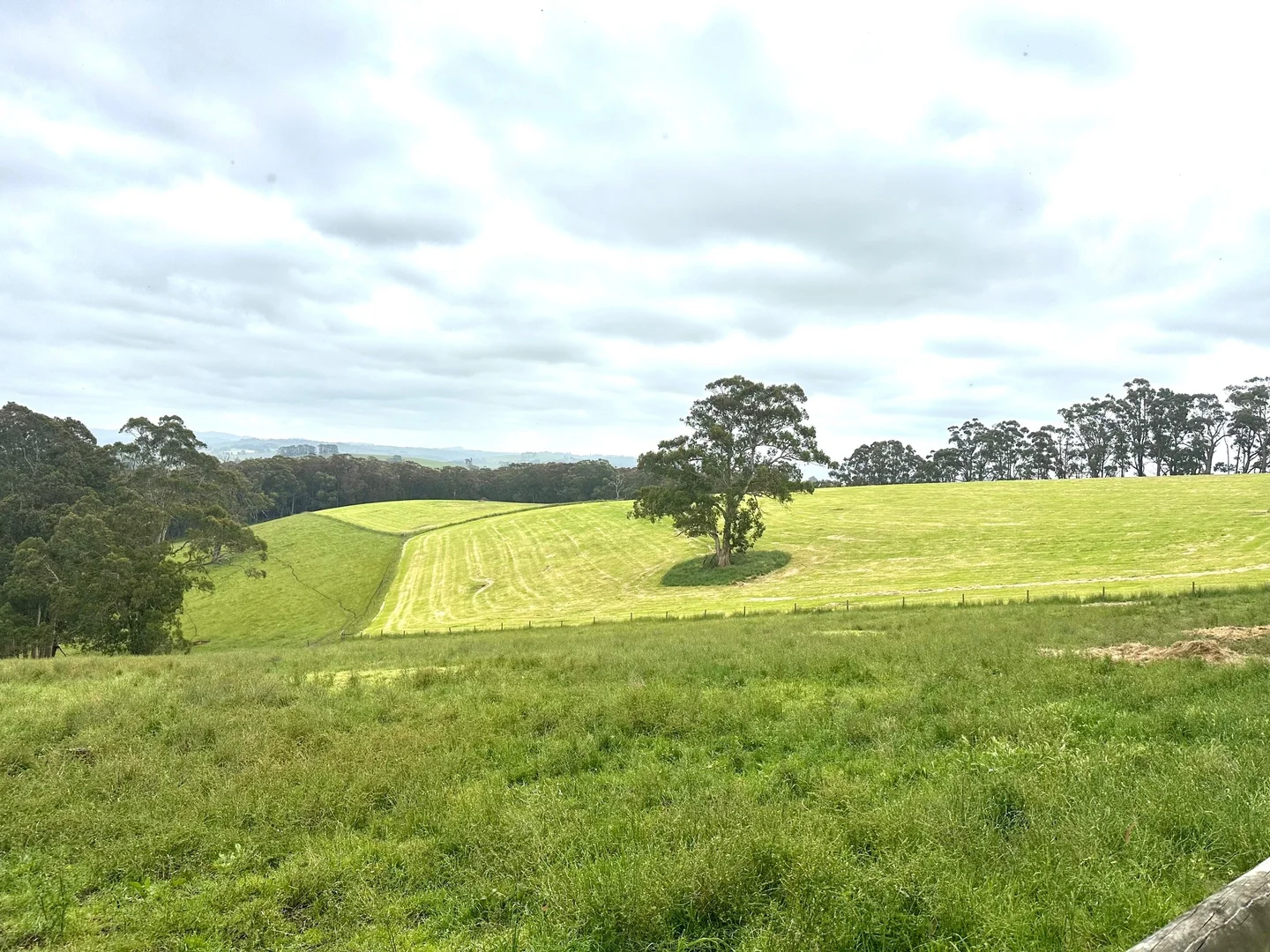 Additional image 11 of 655 Old Thorpdale Road, Mirboo North VIC 3871