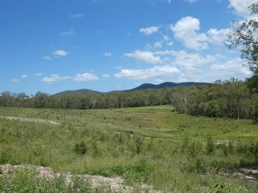Additional image 2 of Lot 41 Moolyung Road, Waterloo QLD 4673