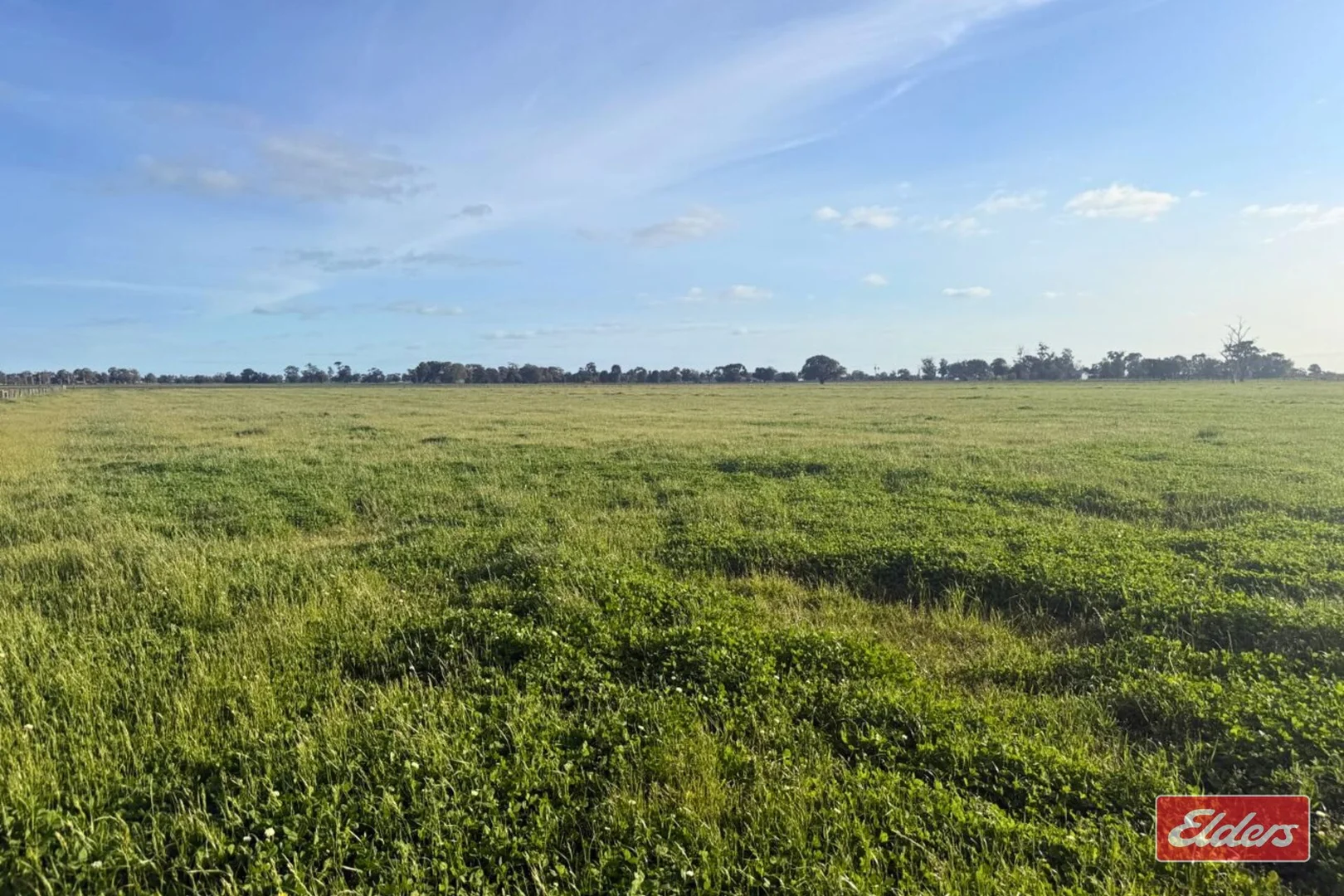 Additional image 11 of 821 Echuca West School Road, Echuca VIC 3564