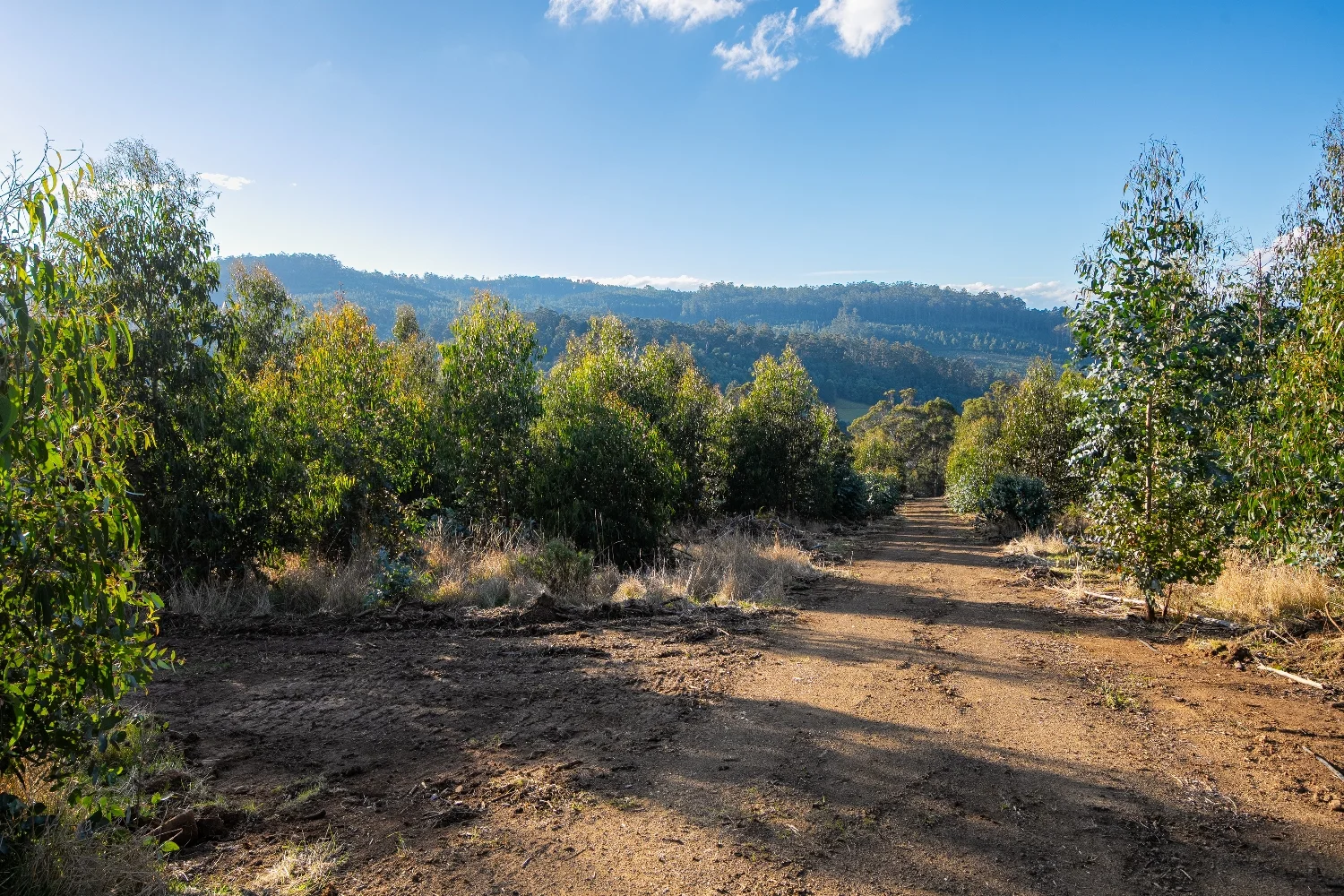 Additional image 3 of Lot 8 Paddys Lane, Franklin TAS 7113