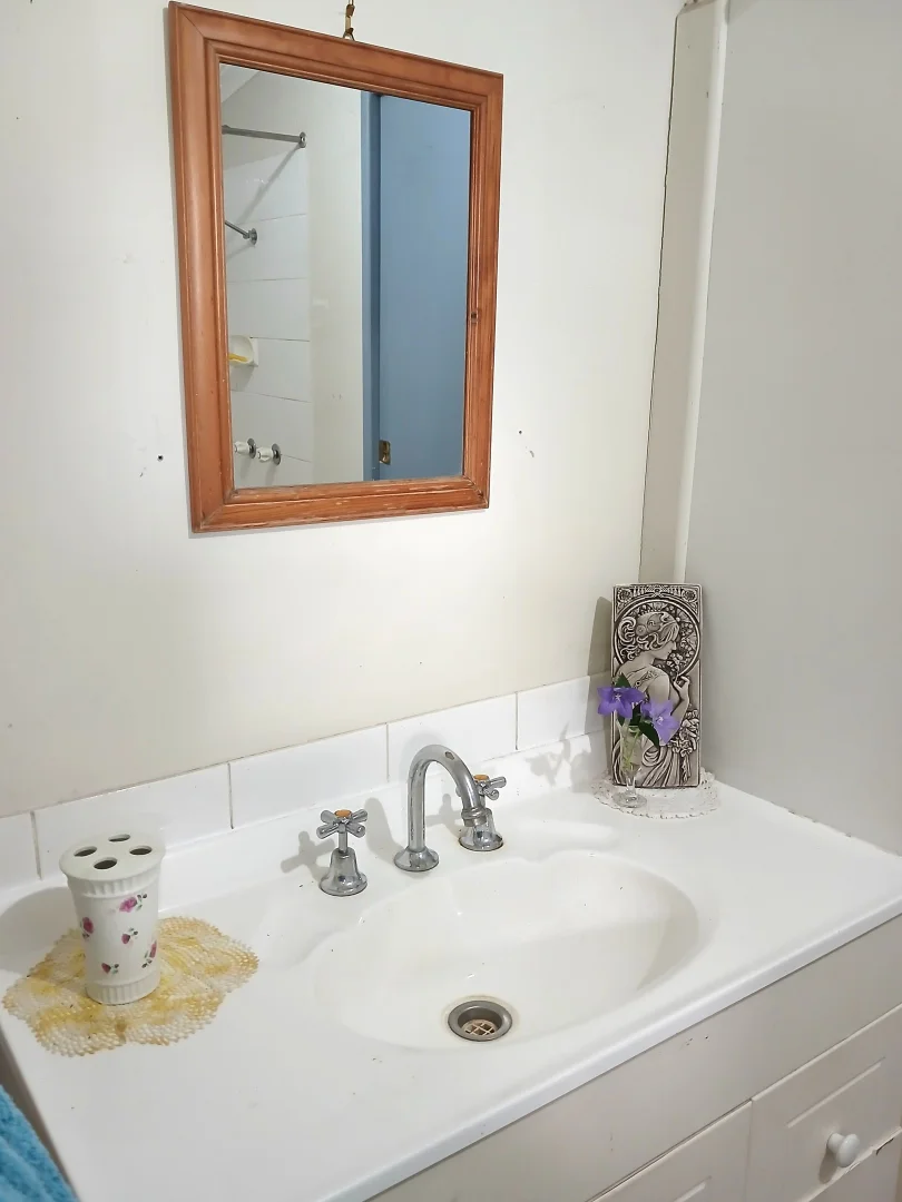 Additional image 3 of 25 Ballard Street, Comet QLD 4702