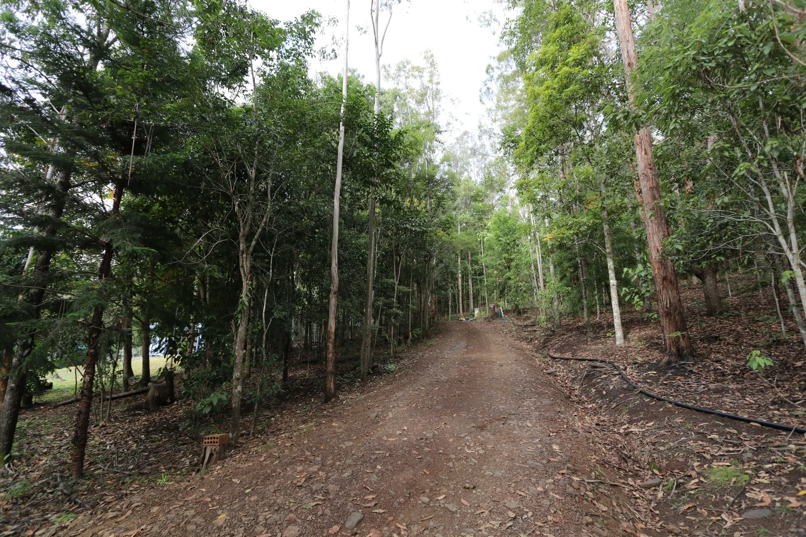 Additional image 23 of Level share 25, 10/321 Blackhorse Road, Eden Creek NSW 2474