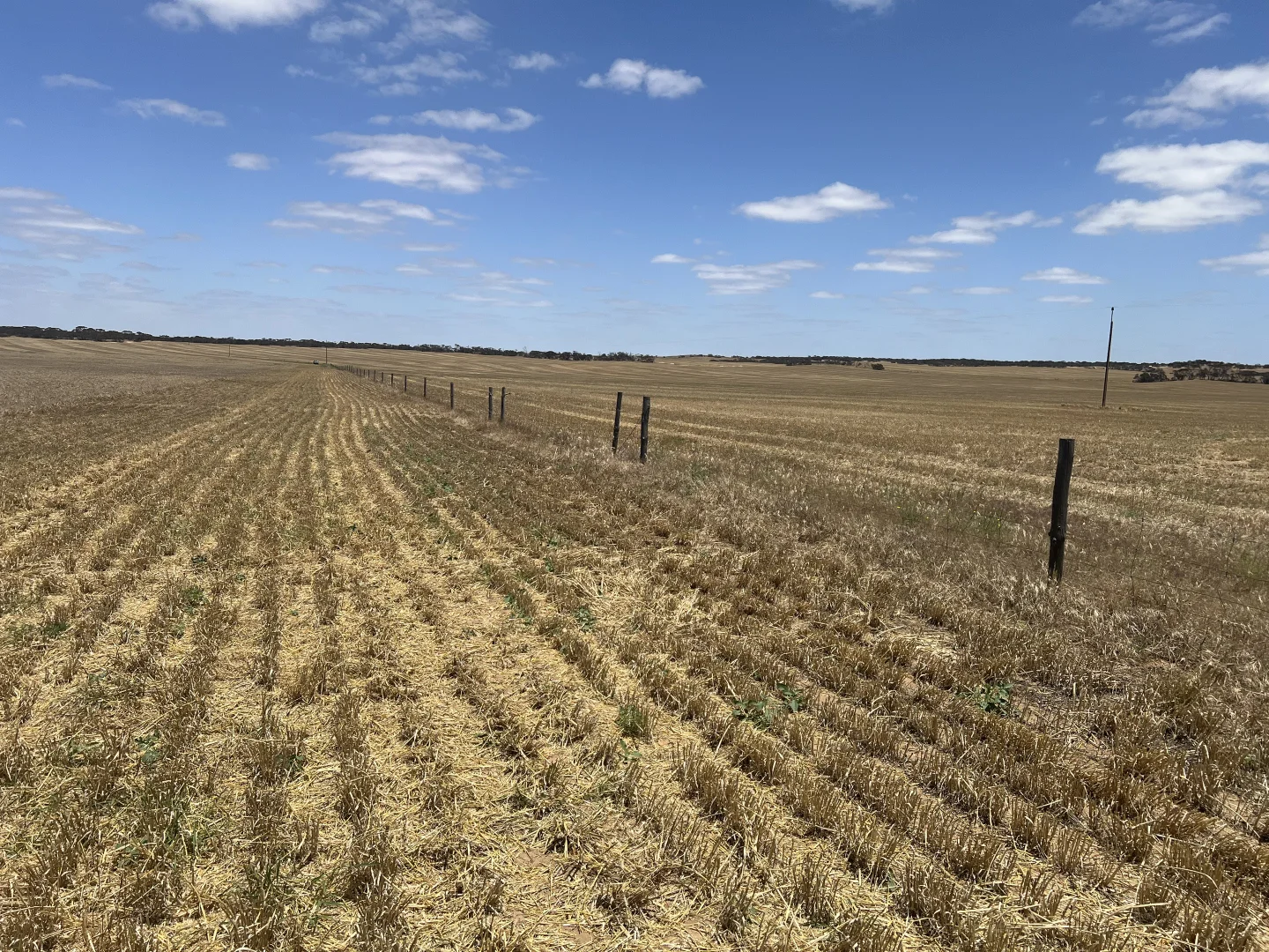 Additional image 6 of 1523 Geranium North Road, Geranium SA 5301