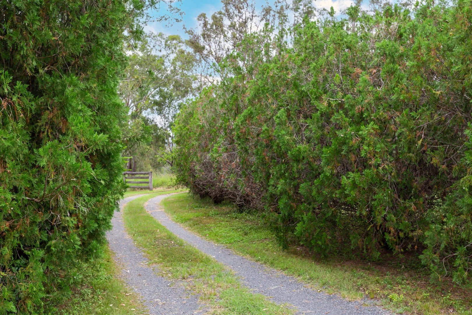 Additional image 32 of 1430 Glastonbury Road, Glastonbury QLD 4570