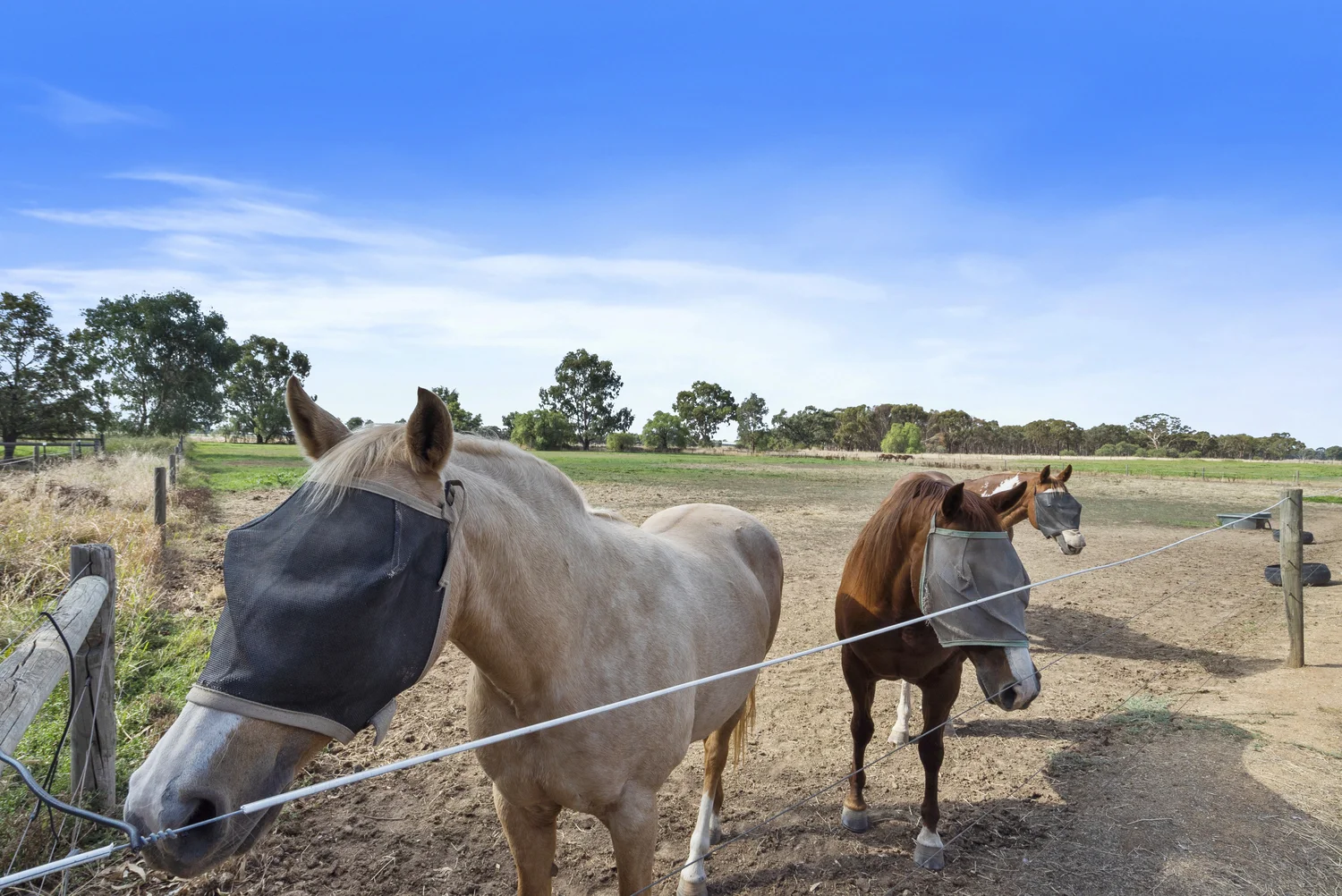 Additional image 27 of 141 Nathalia-Waaia Road, Nathalia VIC 3638