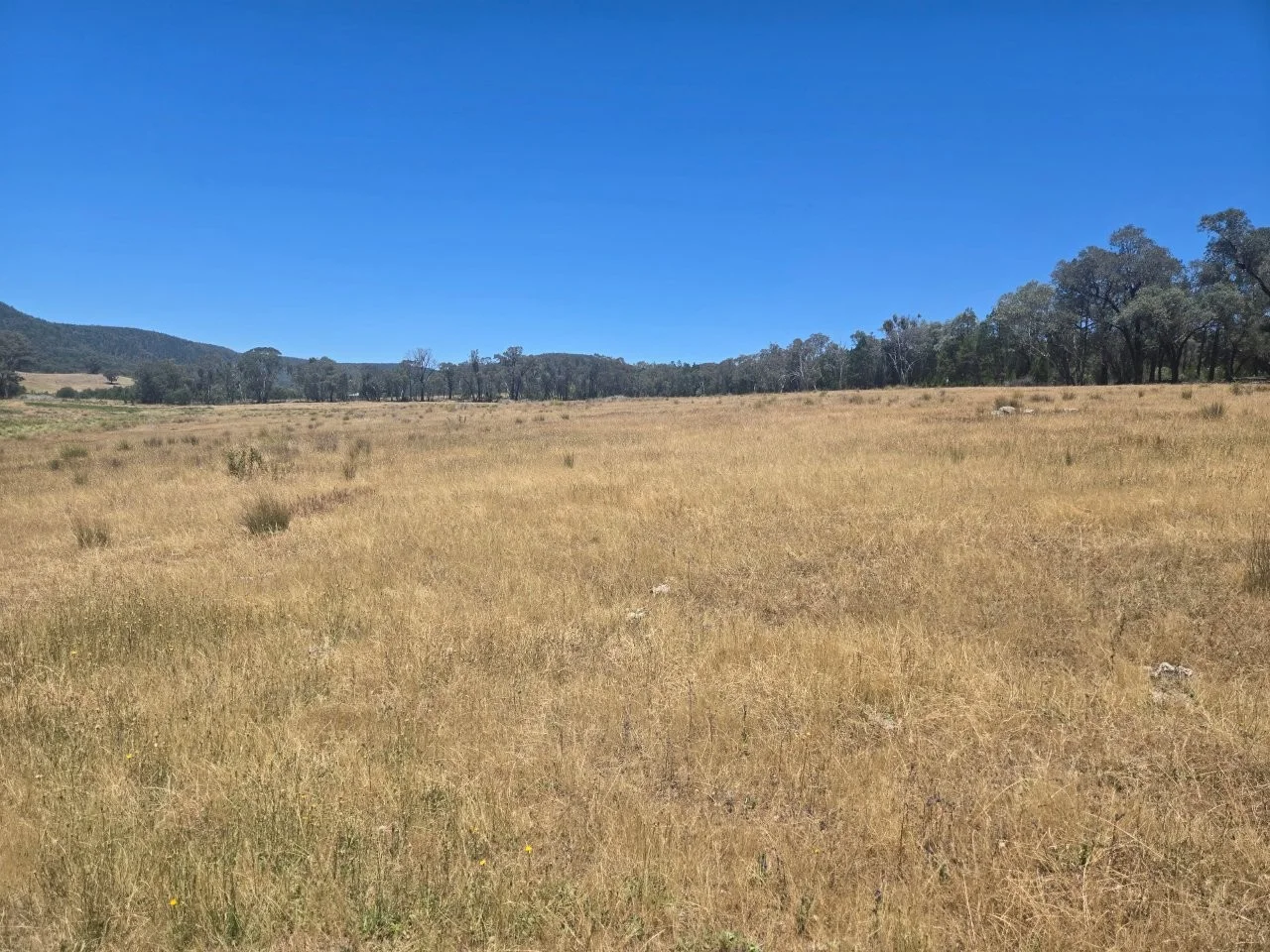 Additional image 24 of "Abercorn", 2154 Kangarooby Road, Gooloogong NSW 2805