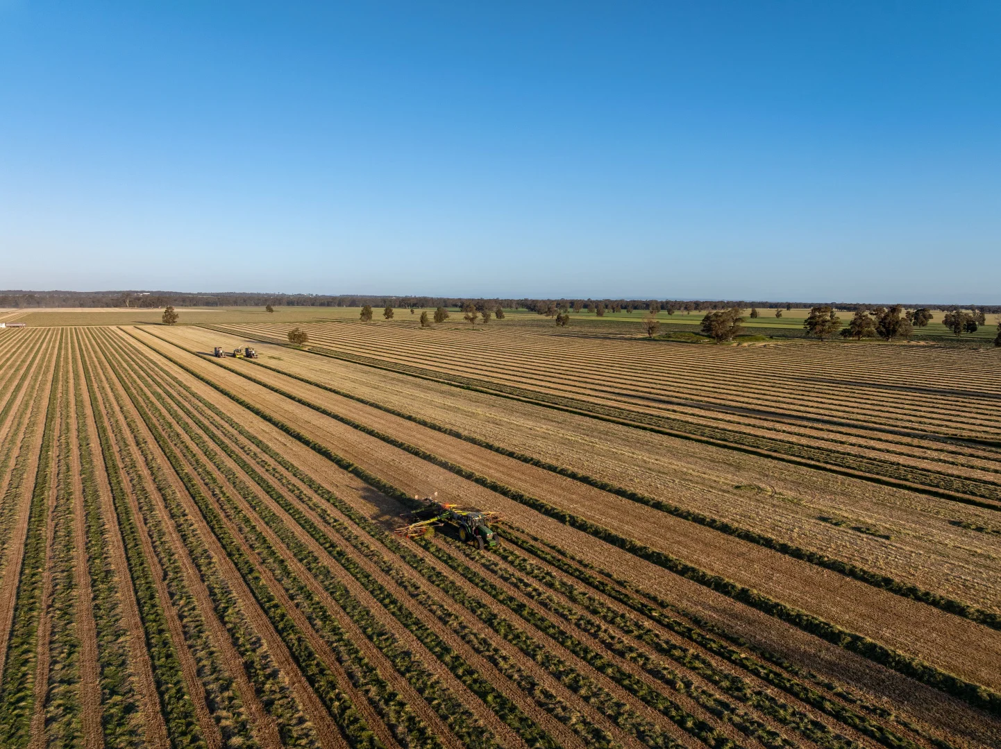 Additional image 21 of 1623 Redlands Road, Ringwood NSW 2646