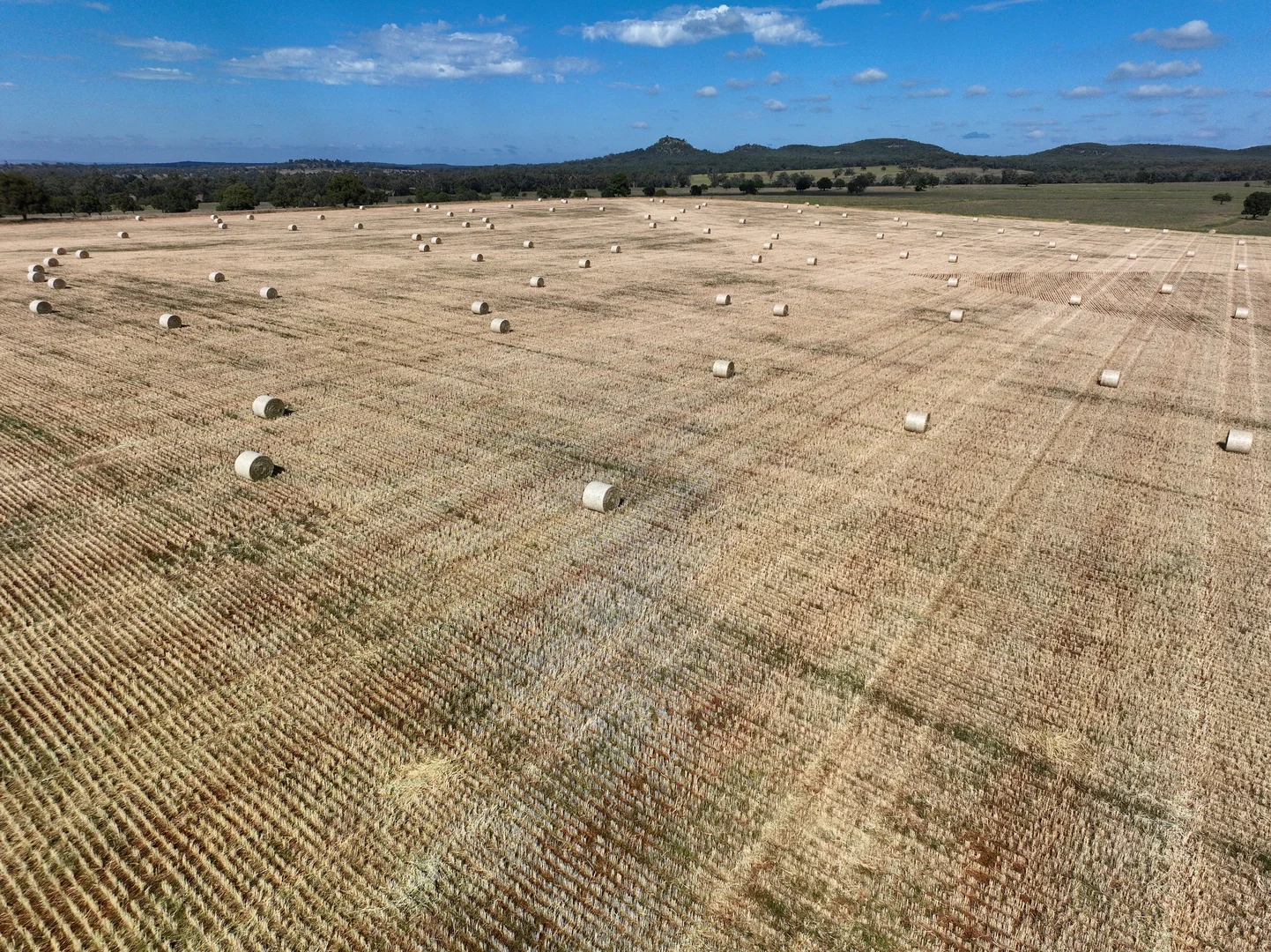 Additional image 45 of 1676 Willala Road, Boggabri NSW 2382