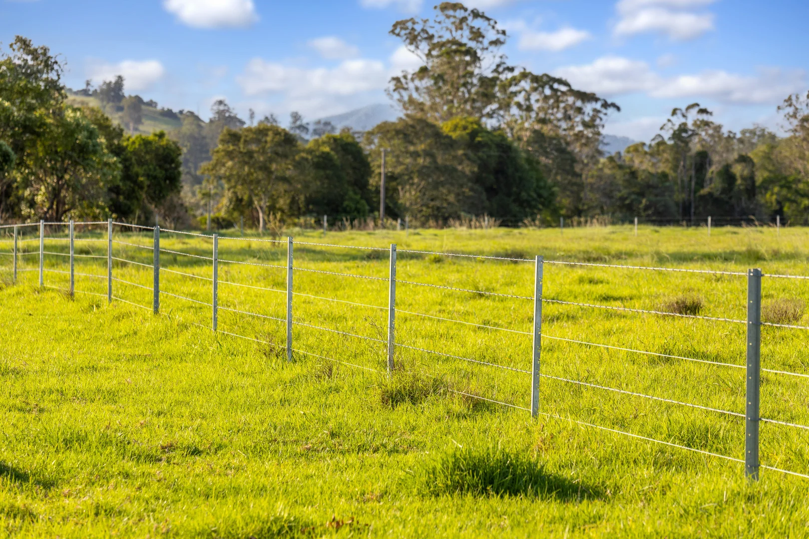 Additional image 22 of 424 Norwood Lane, Mount George NSW 2424