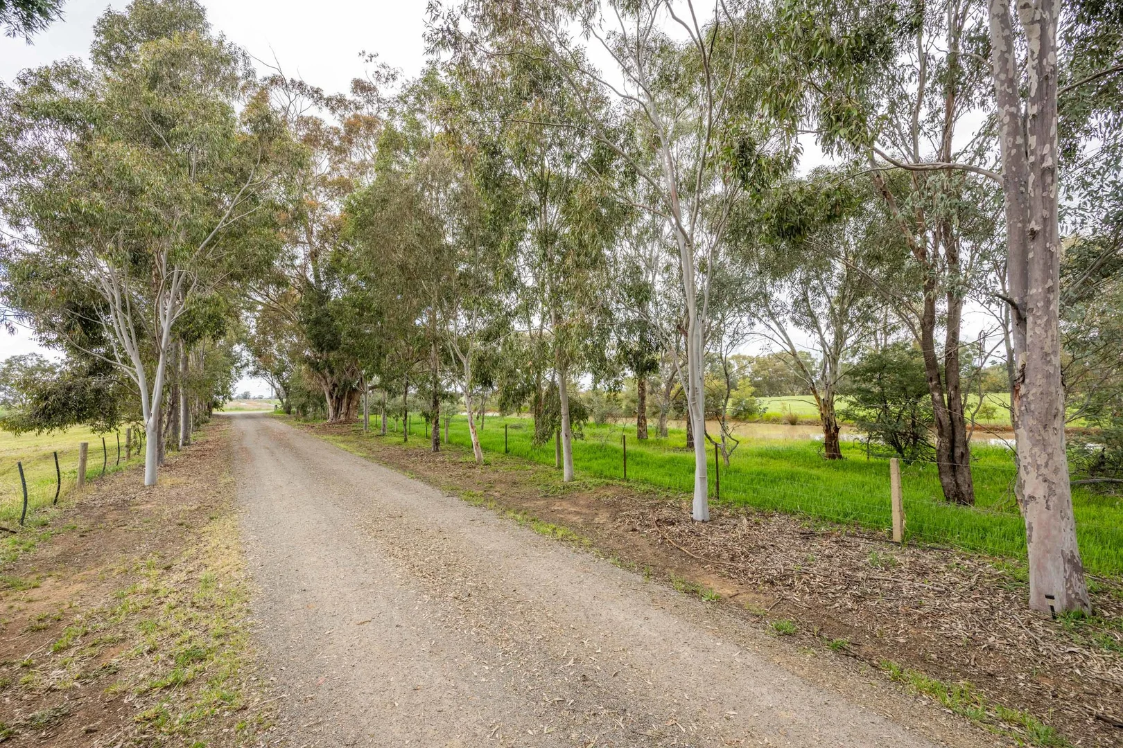 Additional image 41 of 145 Lane Road, Katandra West VIC 3634