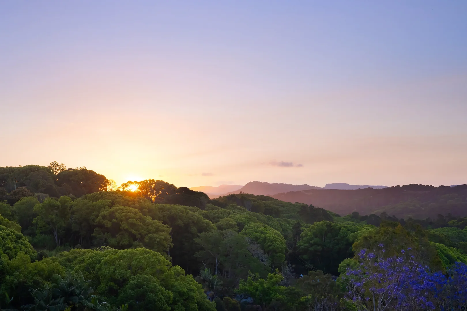 Additional image 18 of 1 Rosemount Court, Terranora NSW 2486