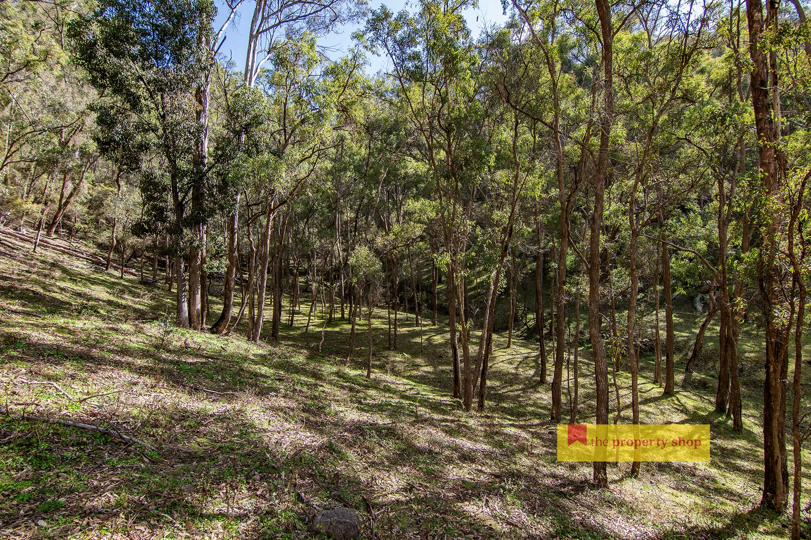 Additional image 8 of 210 Totnes Valley Road, Mudgee NSW 2850