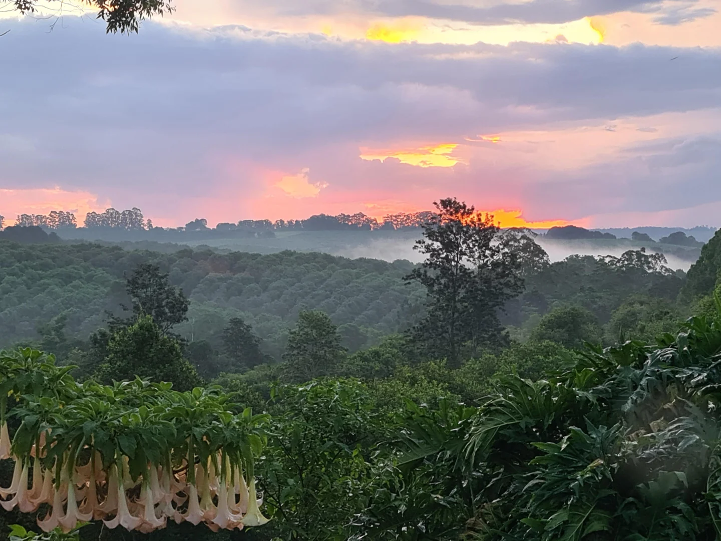 Additional image 33 of 5 Whian Whian Road, Dunoon NSW 2480