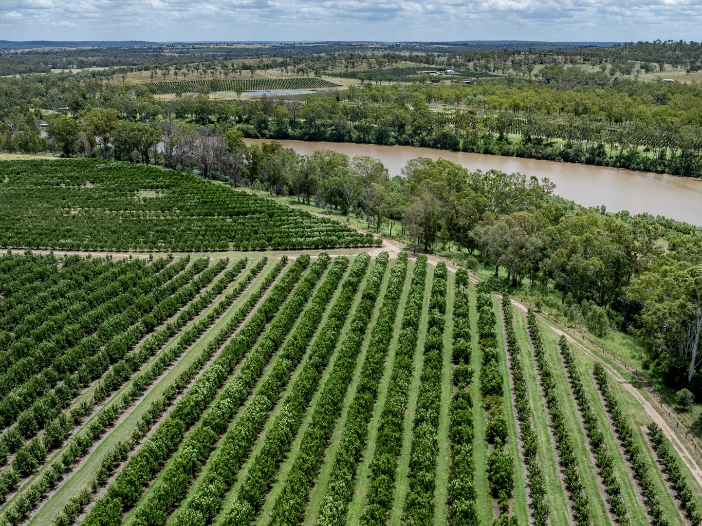 Additional image 16 of 100 Sandersons Lane, Mundubbera QLD 4626