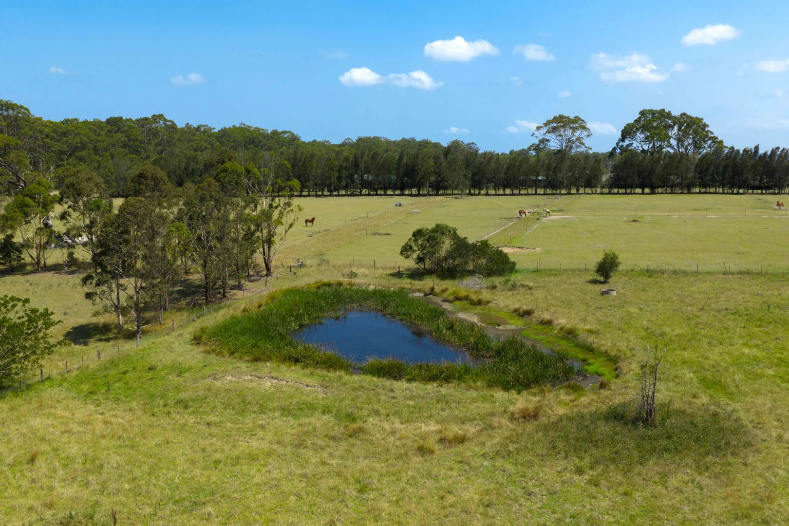 Additional image 24 of 28 Forest Road, Comberton NSW 2540