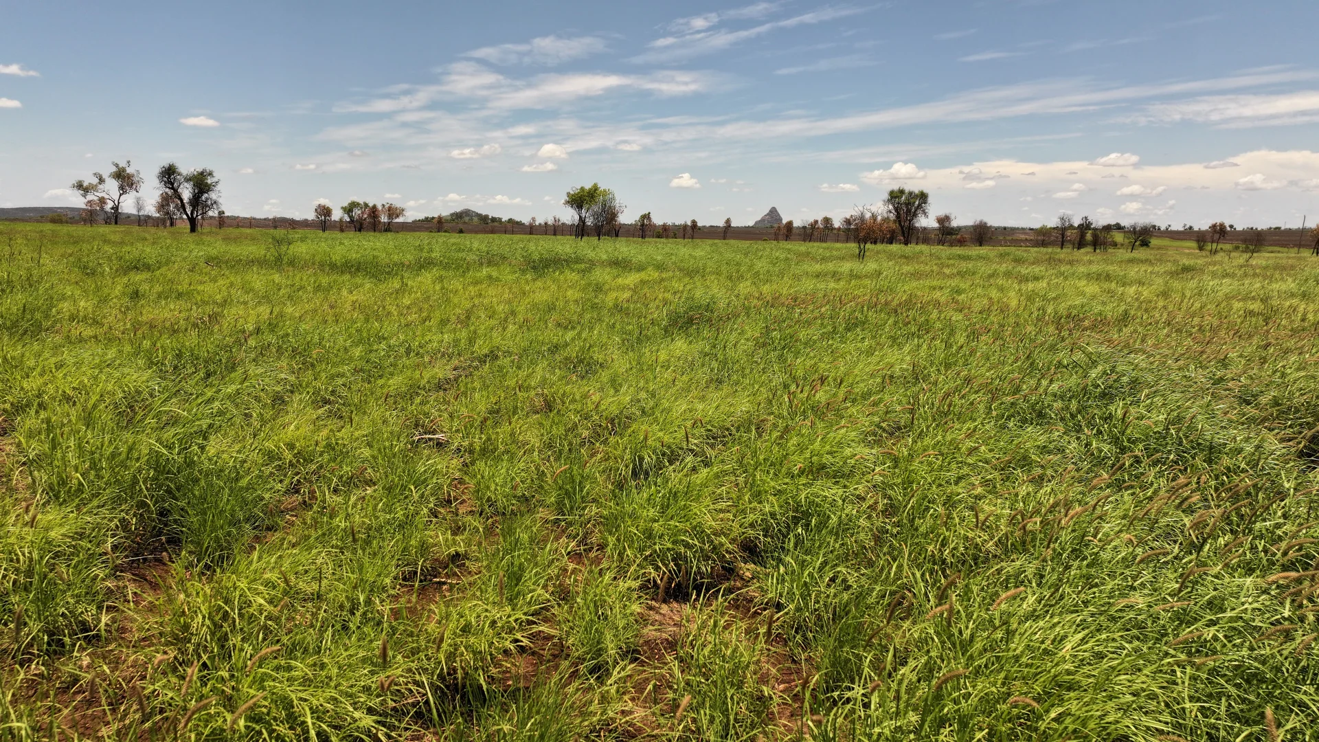 Additional image 17 of Russell Park Road, Clermont QLD 4721