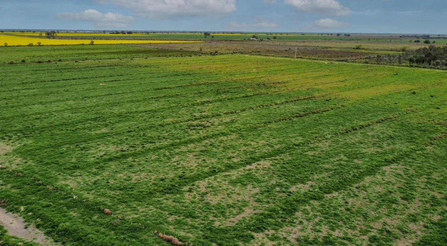 Additional image 3 of 1D McAlister Road, Benjeroop VIC 3579