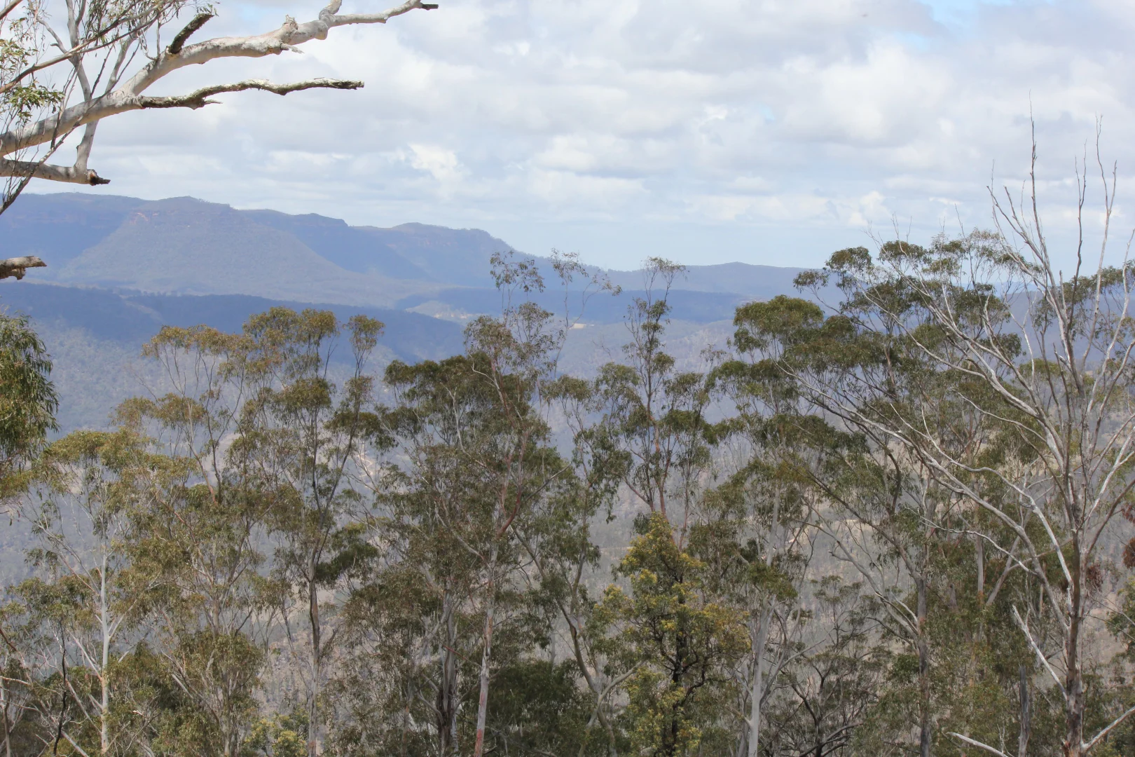 Additional image 11 of Lot 51 Glen Chee Road, Kanimbla NSW 2790