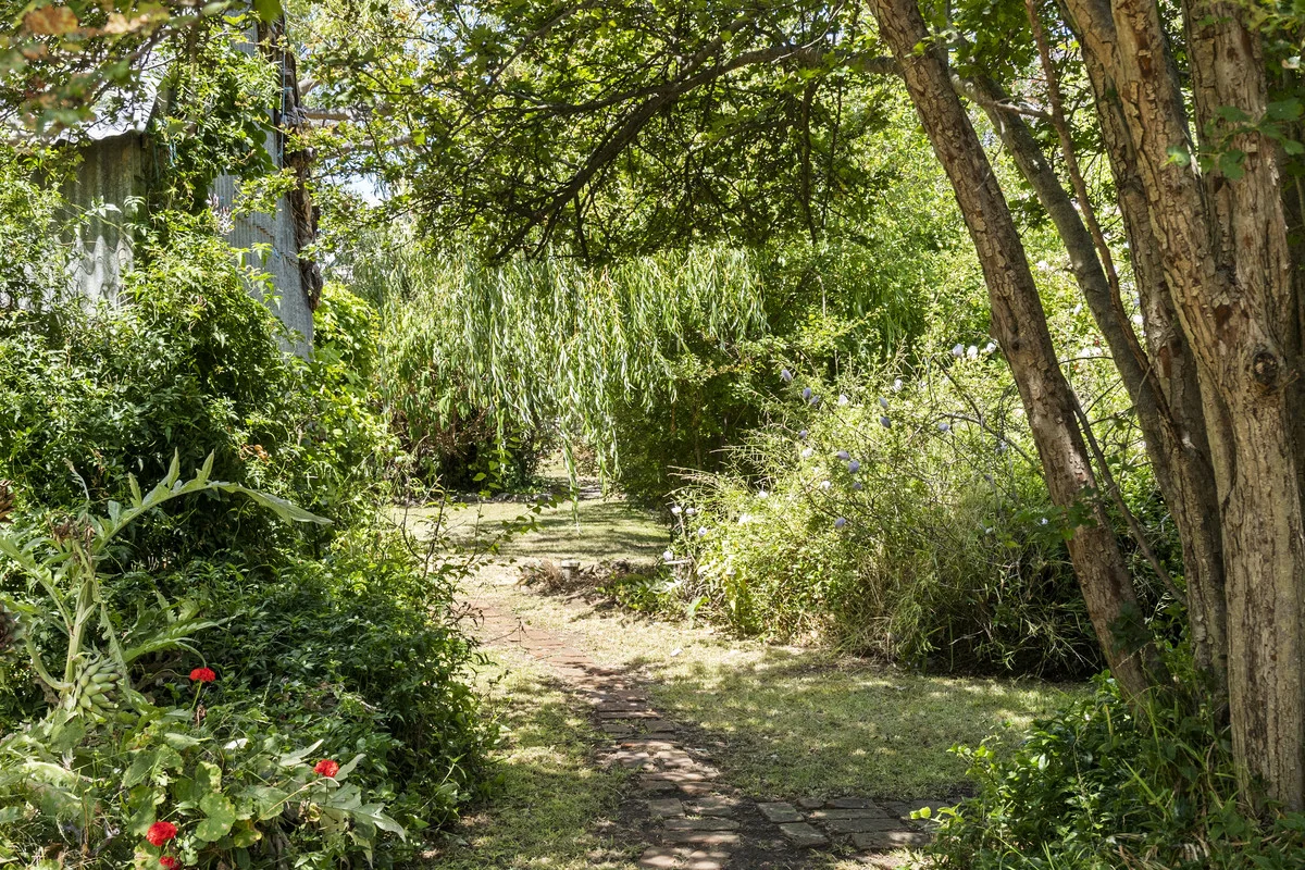 Additional image 28 of 5 Noyes Street, Swansea TAS 7190