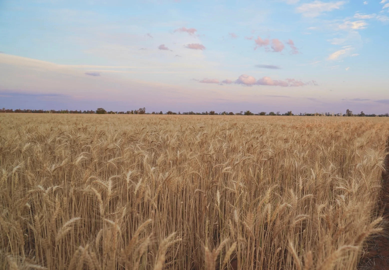 Additional image 8 of Buddabadah NSW 2825