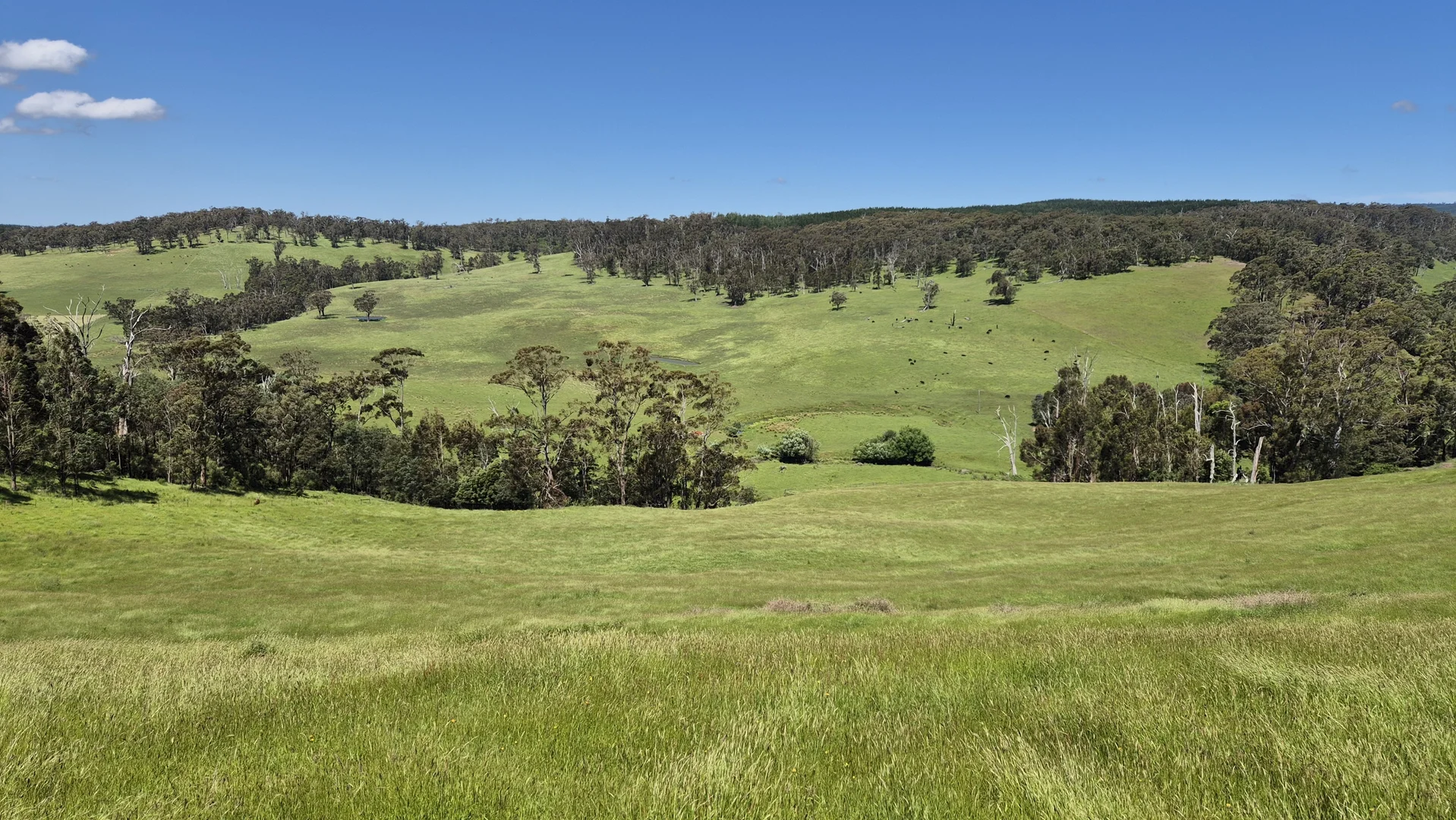 Additional image 21 of 735 Callignee South Road, Callignee VIC 3844